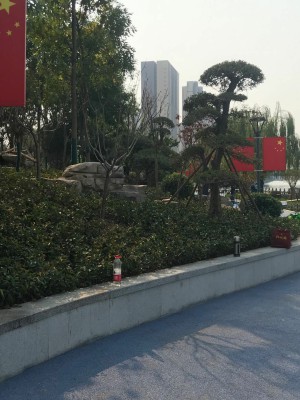 客户案列