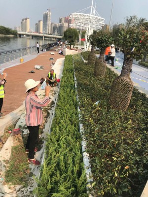 客户案列